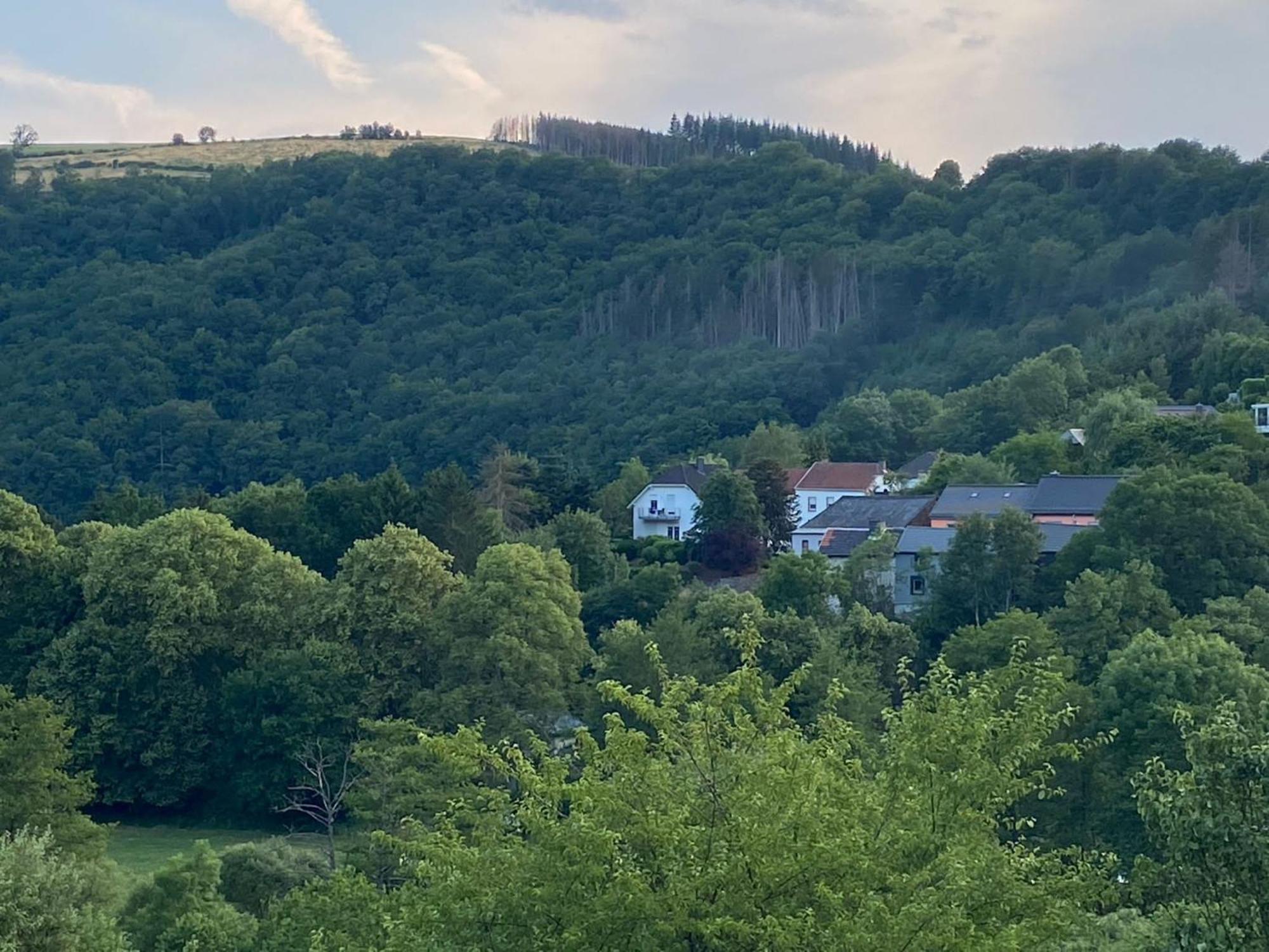 Sabine’s Gästehaus Übereisenbach Exterior foto